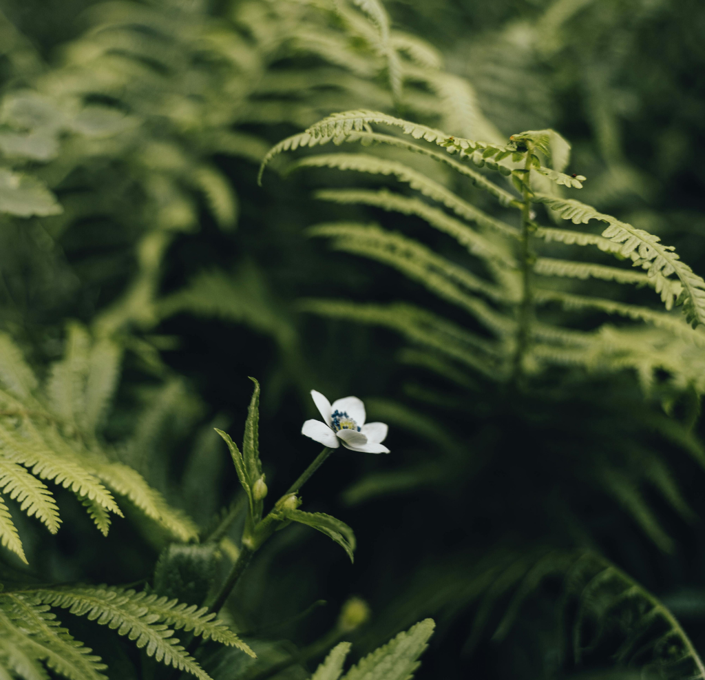 Naturverbundenheit